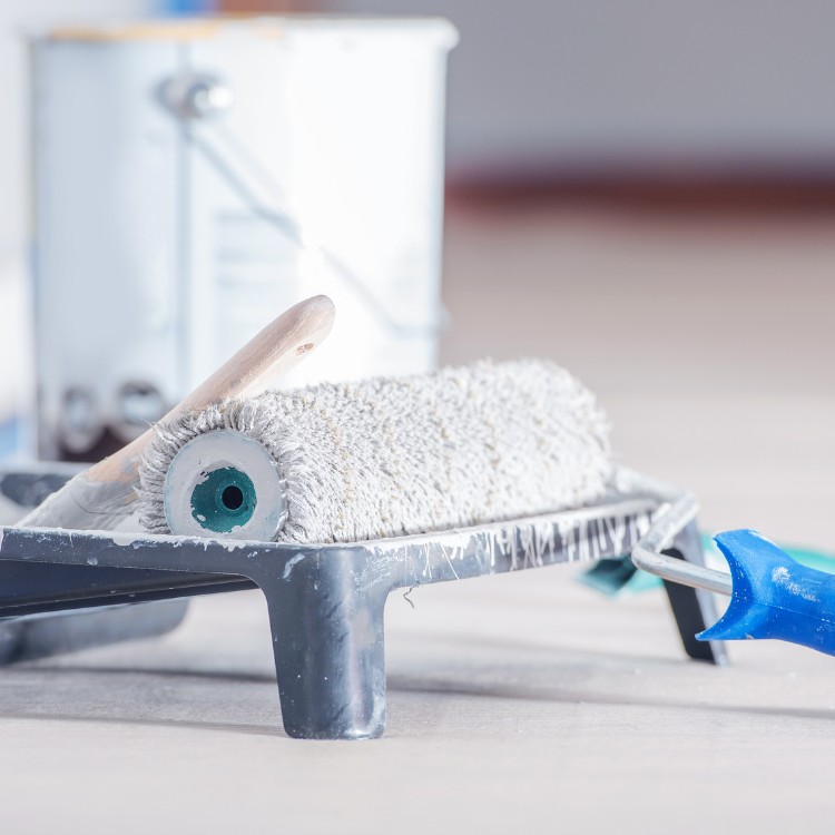 Painting and Drywall Services in Edina, MN