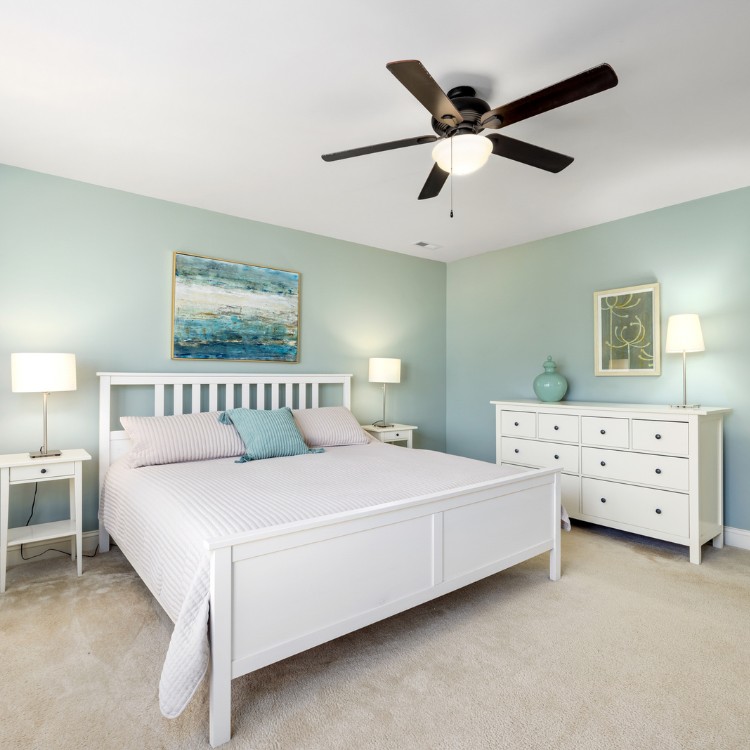 Painting and Drywall Services in Edina, MN